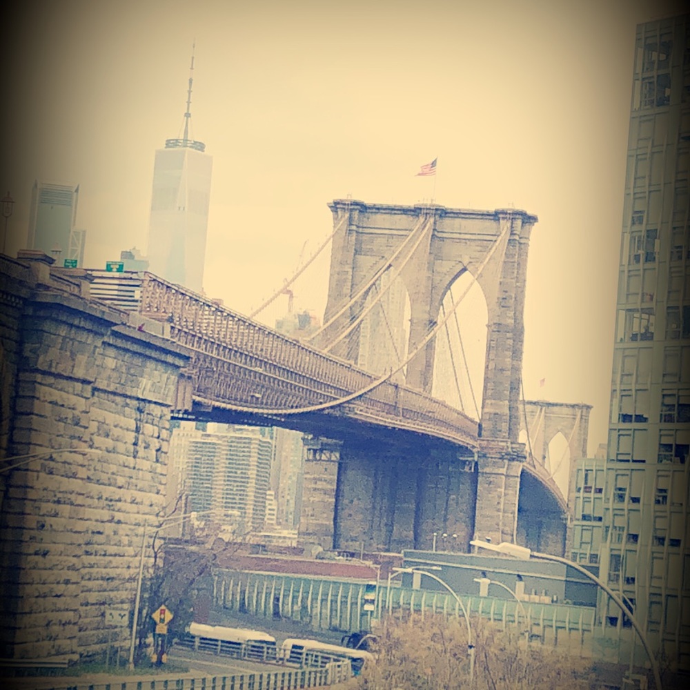 Meet your Posher, Rose